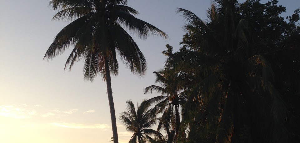 Mein Leben auf Koh Tao