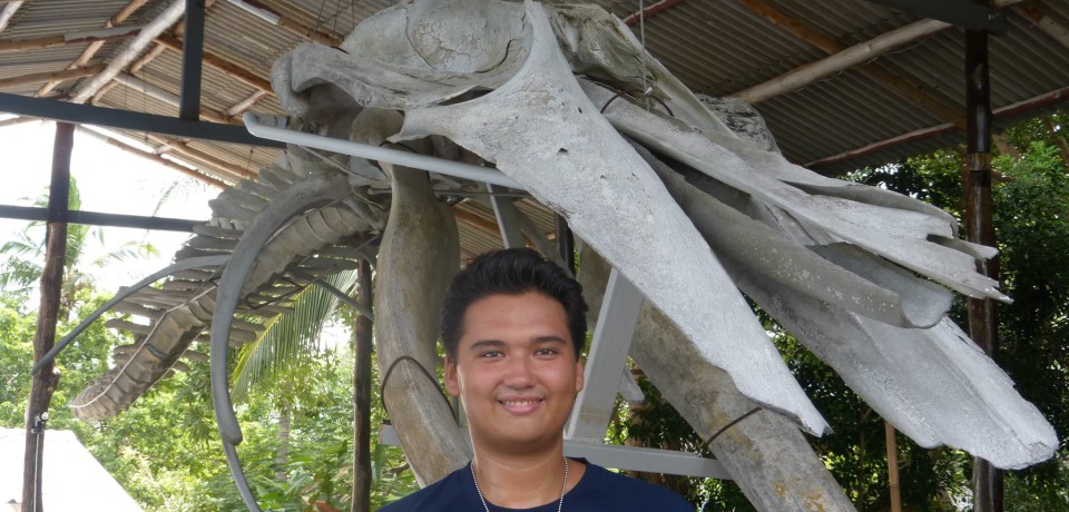 Walskelett auf Koh Tao und Two View-Viewpoint